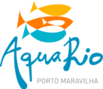 Sem-Título-1